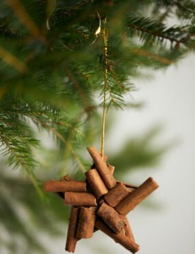 eglutes zaisliukas, cinamonas, naturalus eglutes zaisliukas