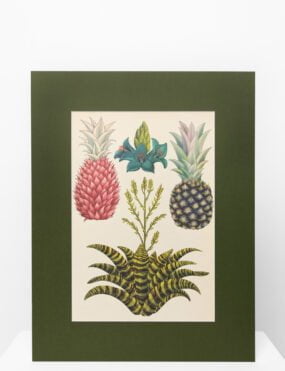 Printai, interjero paveikslai, reprodukcijos, printas su ananasu virtuvei papuošti