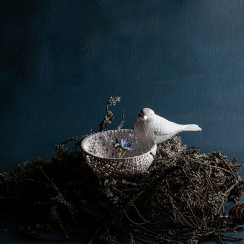 Paukščiuko figūrėlė “Mėlynoji zylė” — Story by Nature