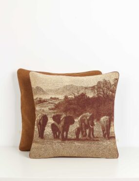 Dekoratyvinė pagalvė  „Dykumos eisena“